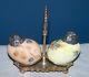 2 Rare Mt Washington Chick Enameled Salt Shakers In Holder Circa 1880's