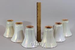 6 Antique STEUBEN Art Glass White Calcite Iridescent Aurene Light Fixture SHADES