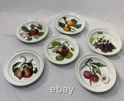 6 Portmeirion Pomona 8 Rimmed Soup Bowls Plum Pear Apple Cherry Peach Apricot