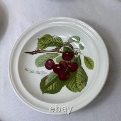 6 Portmeirion Pomona 8 Rimmed Soup Bowls Plum Pear Apple Cherry Peach Apricot