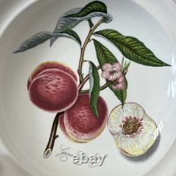6 Portmeirion Pomona 8 Rimmed Soup Bowls Plum Pear Apple Cherry Peach Apricot