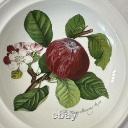 6 Portmeirion Pomona 8 Rimmed Soup Bowls Plum Pear Apple Cherry Peach Apricot