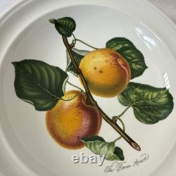 6 Portmeirion Pomona 8 Rimmed Soup Bowls Plum Pear Apple Cherry Peach Apricot