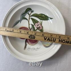 6 Portmeirion Pomona 8 Rimmed Soup Bowls Plum Pear Apple Cherry Peach Apricot
