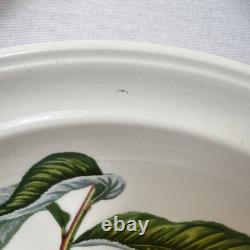 6 Portmeirion Pomona 8 Rimmed Soup Bowls Plum Pear Apple Cherry Peach Apricot