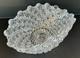 Antique American Brilliant Period Cut Glass Harvard Pattern Bowl