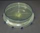 Antique Murano Art Glass Bowl Possibly Vittorio Zecchin for Cappellin