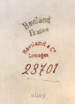 Antique Rare Haviland France Hand Painted Fruit Pattern Covered Server 23701