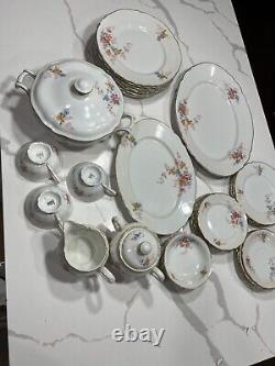 Bavaria Selb Hutschenreuther The Eaton 7622 30 Piece Vintage Rare Set