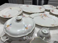 Bavaria Selb Hutschenreuther The Eaton 7622 30 Piece Vintage Rare Set