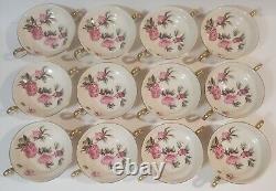 Castleton 36pcs! 12x Soup Bowl 12x Dish 12x Bowl, Pink Peonies Peony Dinnerware