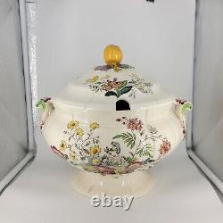 Copeland Spode Old Mark Gainsborough TUREEN WITH LID Apple Finial