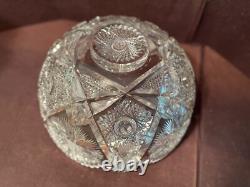 Exceptional Large 14 ABP Cut Glass Punch Bowl