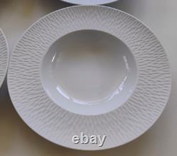 Guy Degrenne Boreal Satin Fine French Porcelain Rim Soup Bowls Set Of 4
