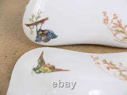 Haviland & Co. Limoges Porcelain Meadow Visitors Tureen Serving Bowl Birds