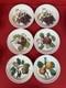 Pomona Port meirion 8.5 Dinner Bowls Set of 6 Made in England Excellent Condit