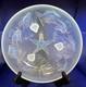 Sabino France Art Glass Opalescent Fish and Star Fish Bowl