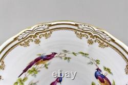 Spode China England Chelsea Bird Y8555 Raised Gilt Dots 20.5cm 8 Pedestal Bowl