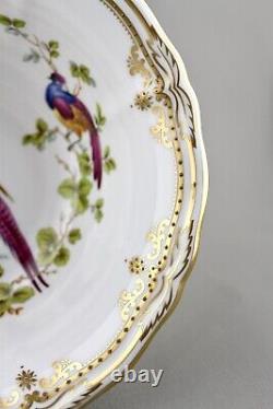 Spode China England Chelsea Bird Y8555 Raised Gilt Dots 20.5cm 8 Pedestal Bowl