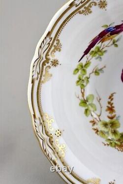 Spode China England Chelsea Bird Y8555 Raised Gilt Dots 20.5cm 8 Pedestal Bowl