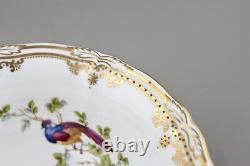 Spode China England Chelsea Bird Y8555 Raised Gilt Dots 20.5cm 8 Pedestal Bowl