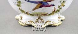 Spode China England Chelsea Bird Y8555 Raised Gilt Dots 20.5cm 8 Pedestal Bowl