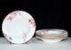 Spode Copeland Chelsea Garden 6 SOUP BOWLS 8 R9781 Floral Rimmed EXC