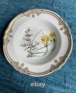 Spode Stafford Flowers 9 Soup Bowl Narcissus & Crowea Excellent Condition