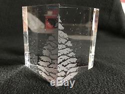 Steuben Art Glass Signed Snow Pine Engraved Paperweight Christmas Tree