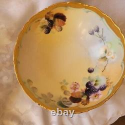 Tressemanes & Vogt Limoges Porcelain Fruit Bowl. Depose 1903. Mark 1.1