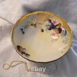 Tressemanes & Vogt Limoges Porcelain Fruit Bowl. Depose 1903. Mark 1.1