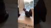What Is A Country Cardinal Art Glass Bird
