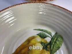 Williams Sonoma Jardin Potager Individual Pasta Bowls Set of 4 Made in Italy